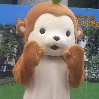 大阪府の写真・動画_image_172653