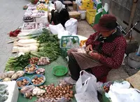 勝浦朝市の写真・動画_image_453294