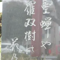 武蔵一宮 氷川神社の写真・動画_image_27218