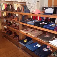 trunkの写真・動画_image_35683