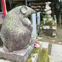 金戒光明寺の写真・動画_image_54238
