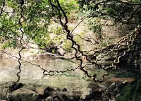 モダマの郷の写真・動画_image_165330