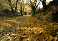 一乗寺の写真・動画_image_24889