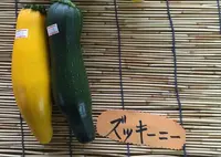 奄美市役所 住用総合支所農林産物加工センターの写真・動画_image_61422