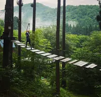 ツリーピクニック アドベンチャー いけだの写真・動画_image_1177094