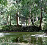 平泉寺白山神社の写真・動画_image_1177719