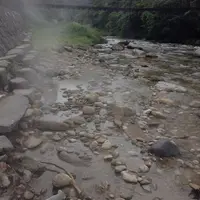 秋の宮温泉郷（癒し小町の湯）の写真・動画_image_125705