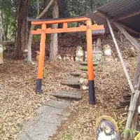 信楽陶芸村の写真・動画_image_126902