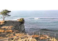加佐の岬の写真・動画_image_342371