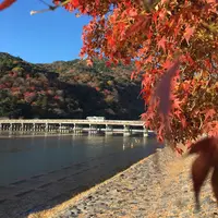 渡月橋の写真・動画_image_158956