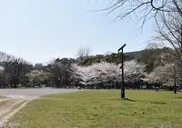 清澄公園の写真・動画_image_26773