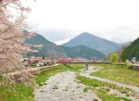 がいせん桜通りの写真・動画_image_27073