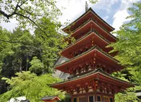 長谷寺の写真・動画_image_27269