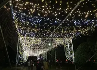 元渕江公園の写真・動画_image_54121
