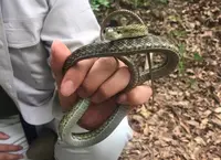 上野原市の写真・動画_image_54187