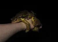 上野原市の写真・動画_image_54194