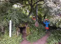 桃太郎神社の写真・動画_image_96012