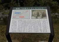 ラベンダーパーク多可の写真・動画_image_96685