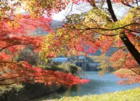 大野ダムの写真・動画_image_1011582