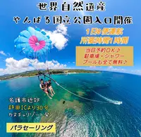 スカイウォーク沖縄 パラセーリング＆フライボード専門店の写真・動画_image_1120358