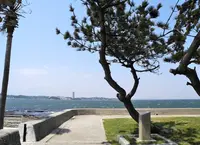 西之端の岬にはの写真・動画_image_132041