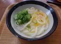 山越うどんの写真・動画_image_132673
