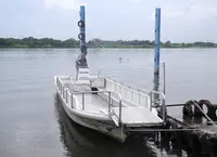 渡し船を体験しようの写真・動画_image_138650