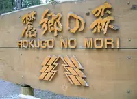麓郷の森の写真・動画_image_139920