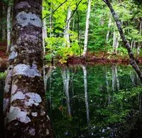 蔦七沼の写真・動画_image_152443