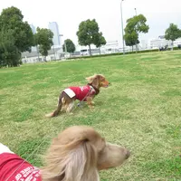 臨港パークの写真・動画_image_156435