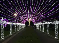 元渕江公園の写真・動画_image_158848