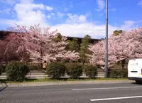 国立劇場の写真・動画_image_171274