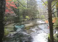 上高地の写真・動画_image_205354