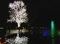 京都府立植物園の写真・動画_image_209824