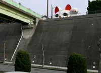 とこにゃんの写真・動画_image_300130
