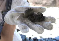 どきどき恐竜発掘ランドの写真・動画_image_307182