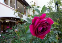 神戸布引ハーブ園の写真・動画_image_450628