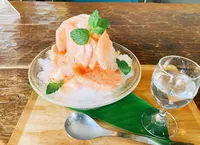 bibliotic helloの写真・動画_image_958167