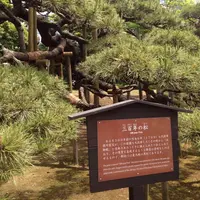 浜離宮恩賜庭園の写真・動画_image_32436