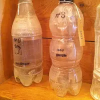 and people （アンドピープル） の写真・動画_image_17295