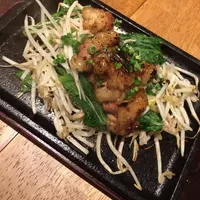 モツビストロ　コゾッテの写真・動画_image_36028