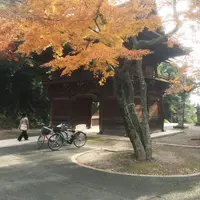 真間山弘法寺の写真・動画_image_207651