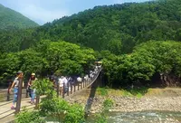であい橋の写真・動画_image_241429