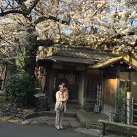 上野恩賜公園（上野公園）の写真・動画_image_68271