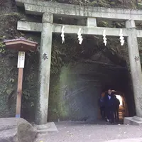 銭洗弁財天 宇賀福神社の写真・動画_image_207355