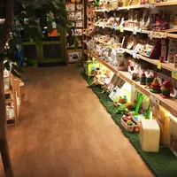 ウディックの写真・動画_image_211671