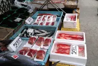 勝浦朝市の写真・動画_image_489266