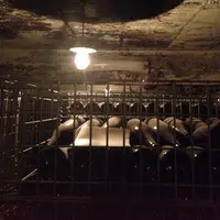 サドヤ醸造場の写真・動画_image_16835
