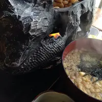 白川郷合掌造りの写真・動画_image_17372