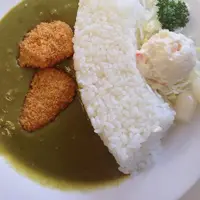 黒部ダムの写真・動画_image_17388